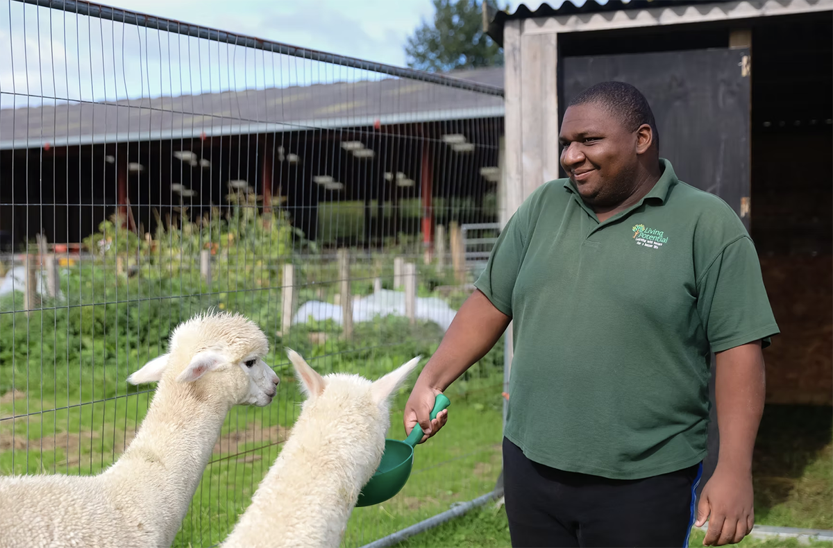 Alpaca